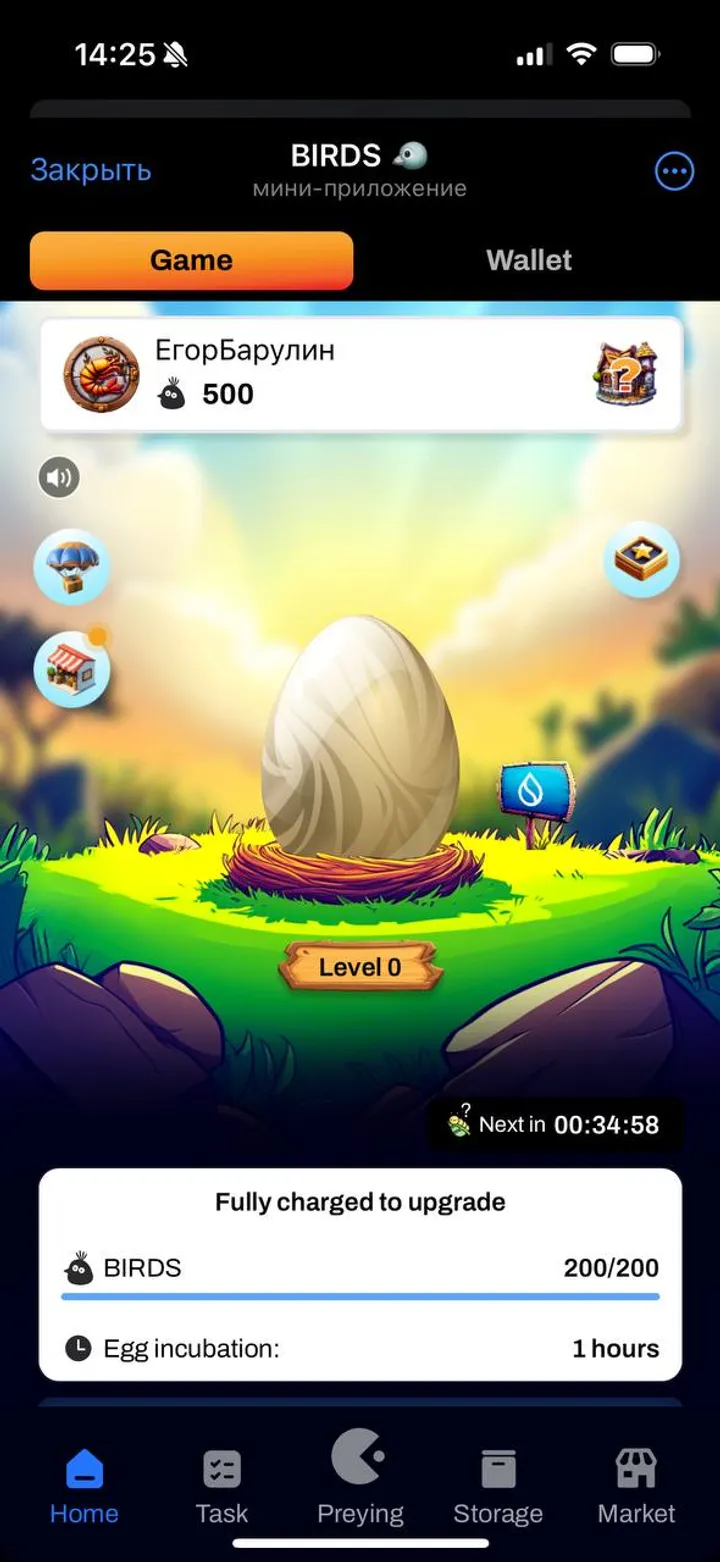 Birds — Screenshot 3