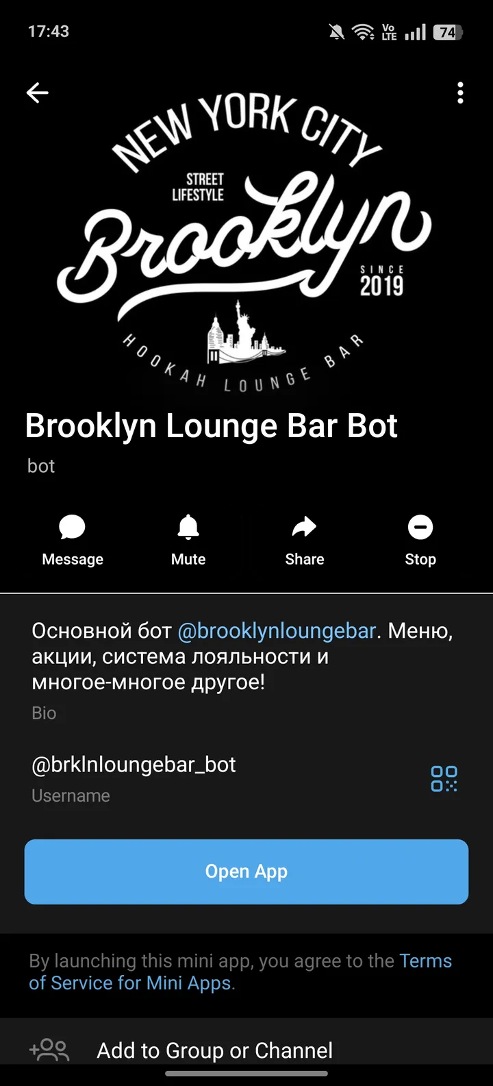 Brooklyn Lounge Bar Bot — Screenshot 4
