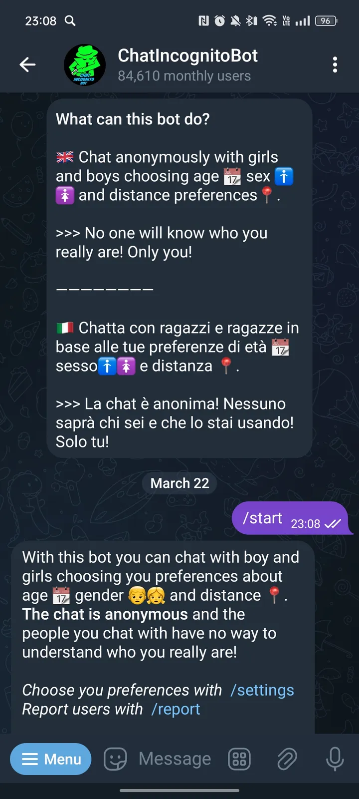 ChatIncognitoBot — Screenshot 1