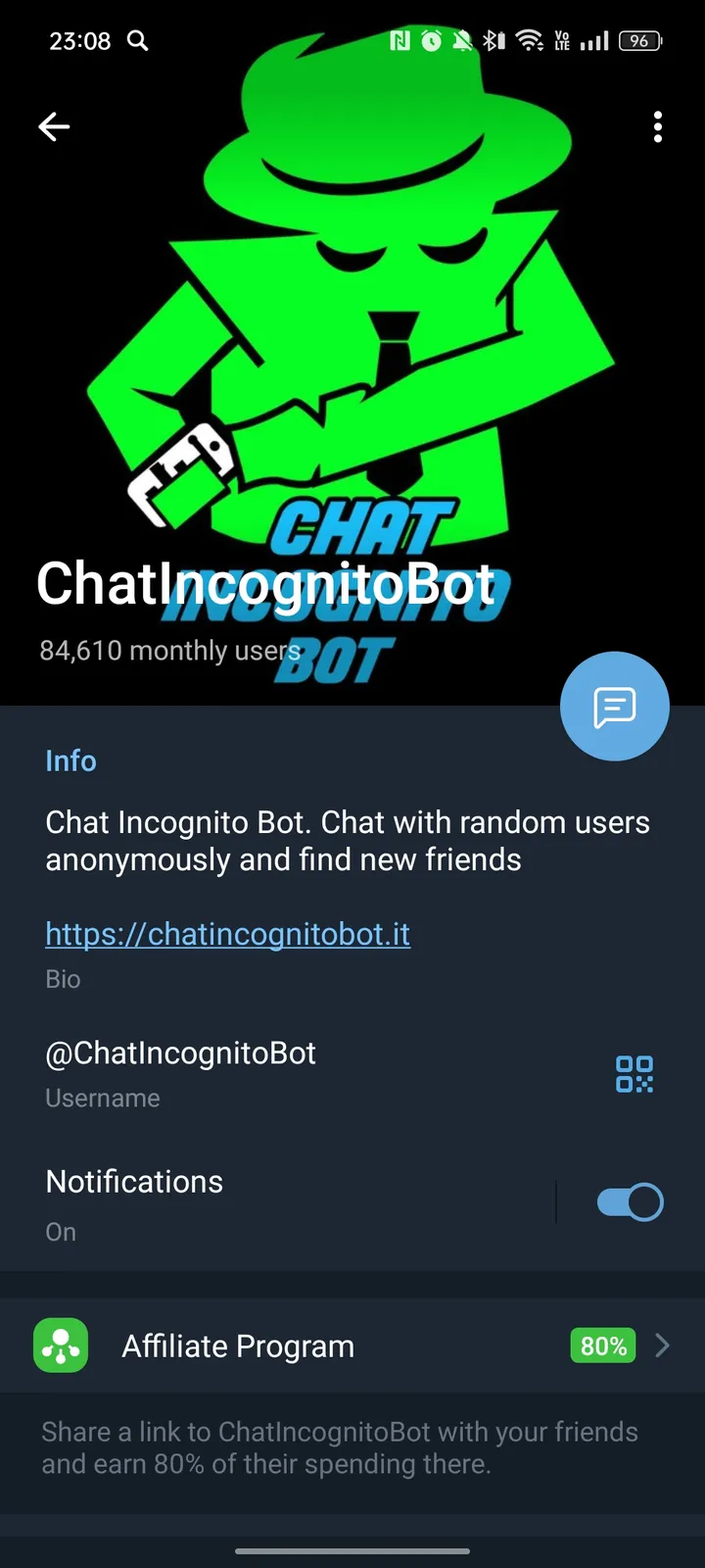 ChatIncognitoBot — Screenshot 4