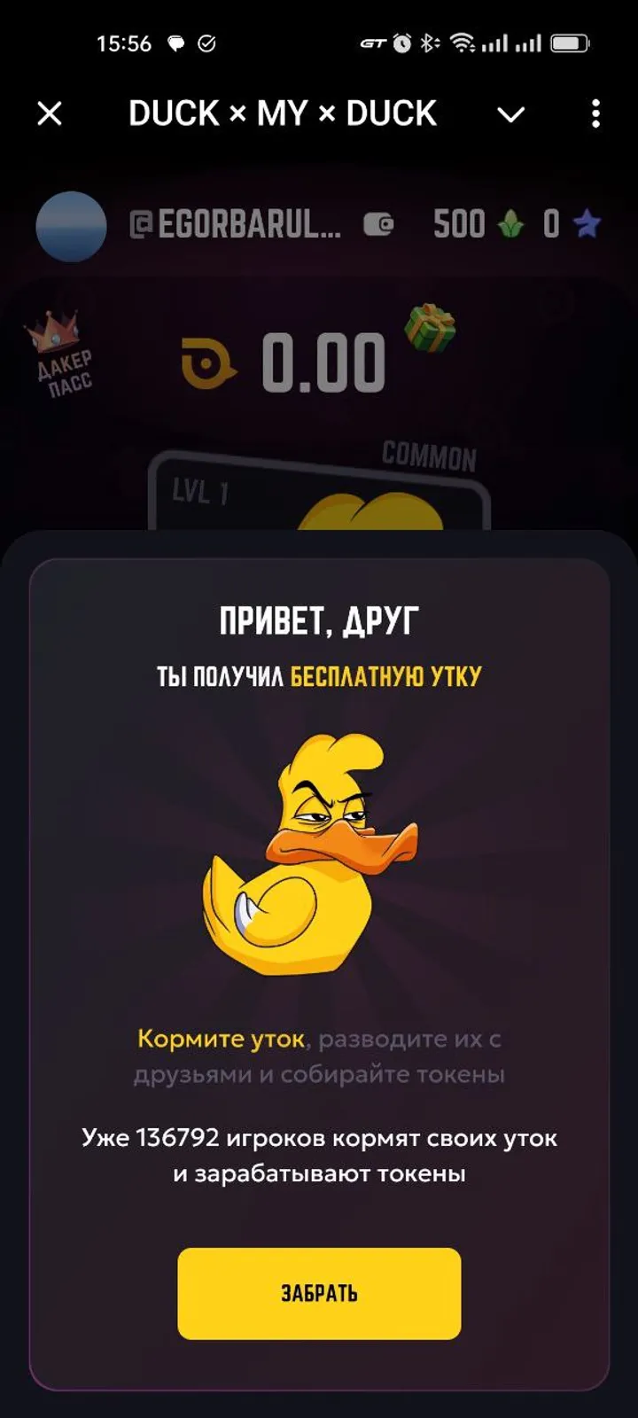 DUCK × MY × DUCK — Screenshot 5