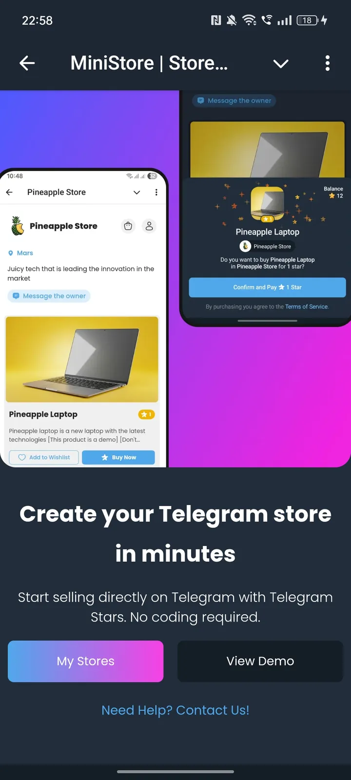MiniStore | Store Maker — Screenshot 1
