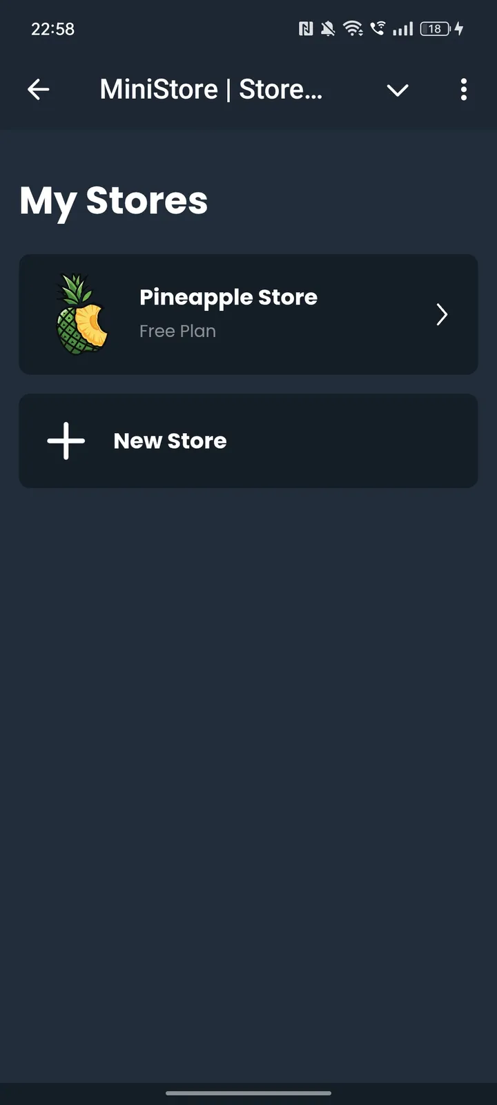 MiniStore | Store Maker — Screenshot 2