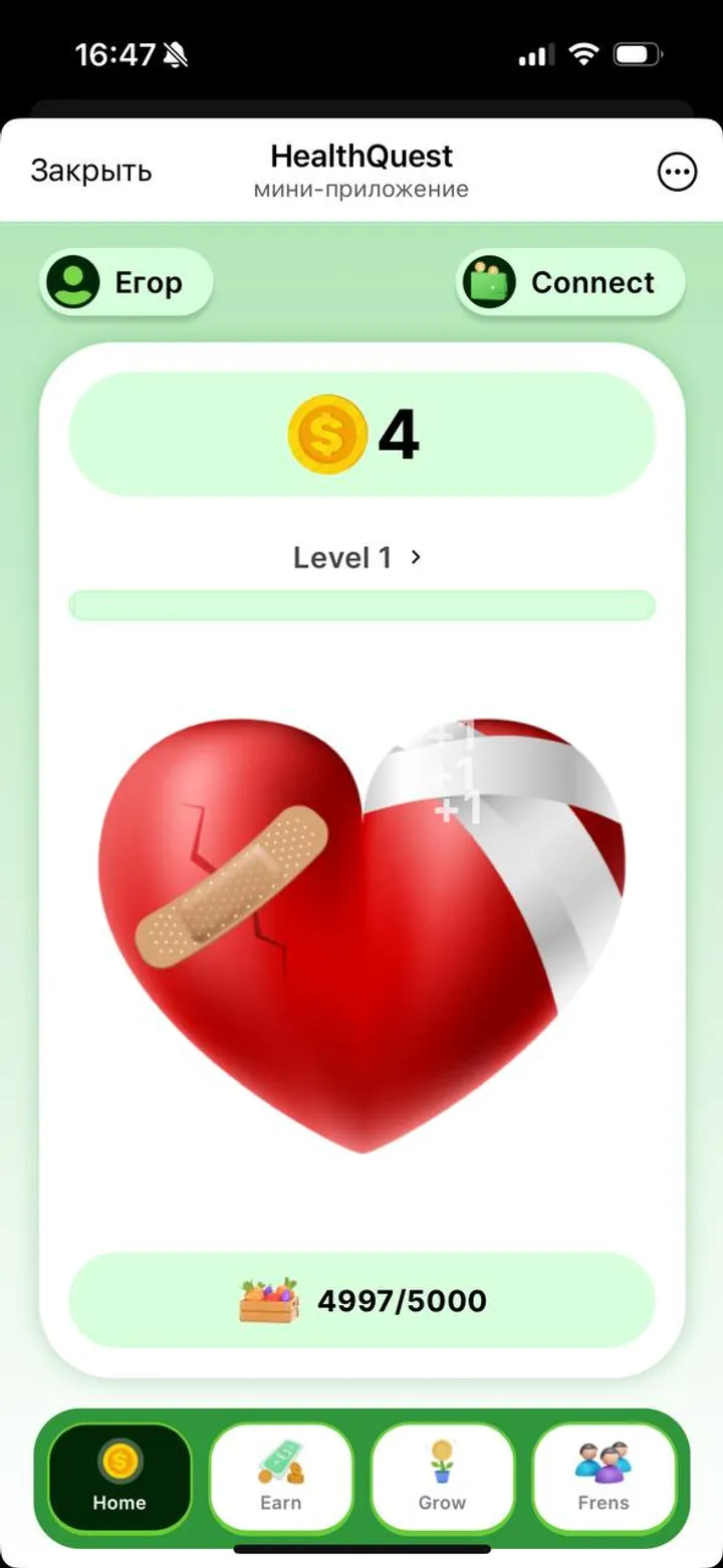 HealthQuest — Screenshot 4