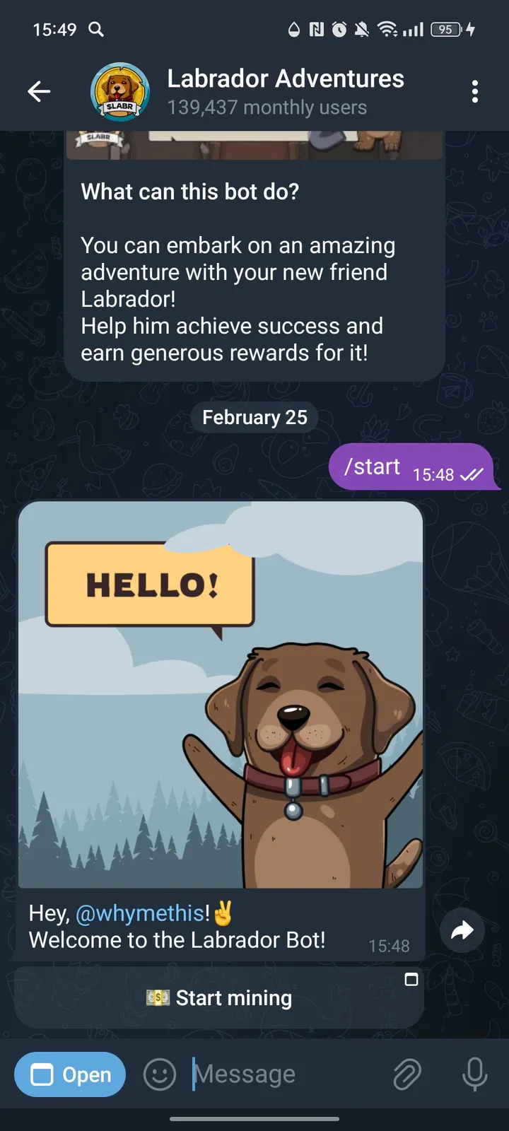 Labrador Adventures — Screenshot 1