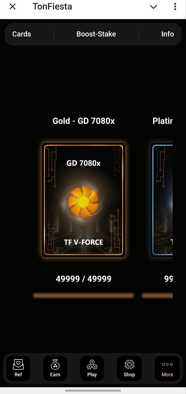 TonFiesta — Screenshot 9