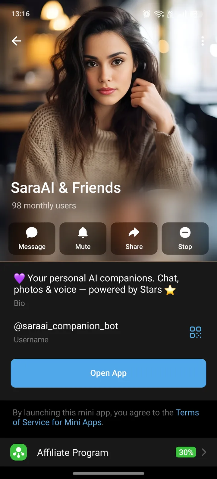 SaraAI & Friends — Screenshot 4