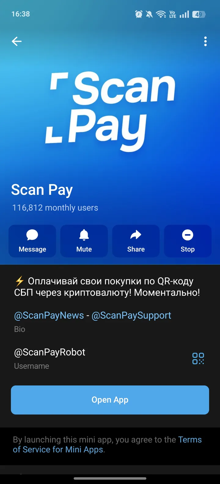 Scan Pay — Screenshot 4