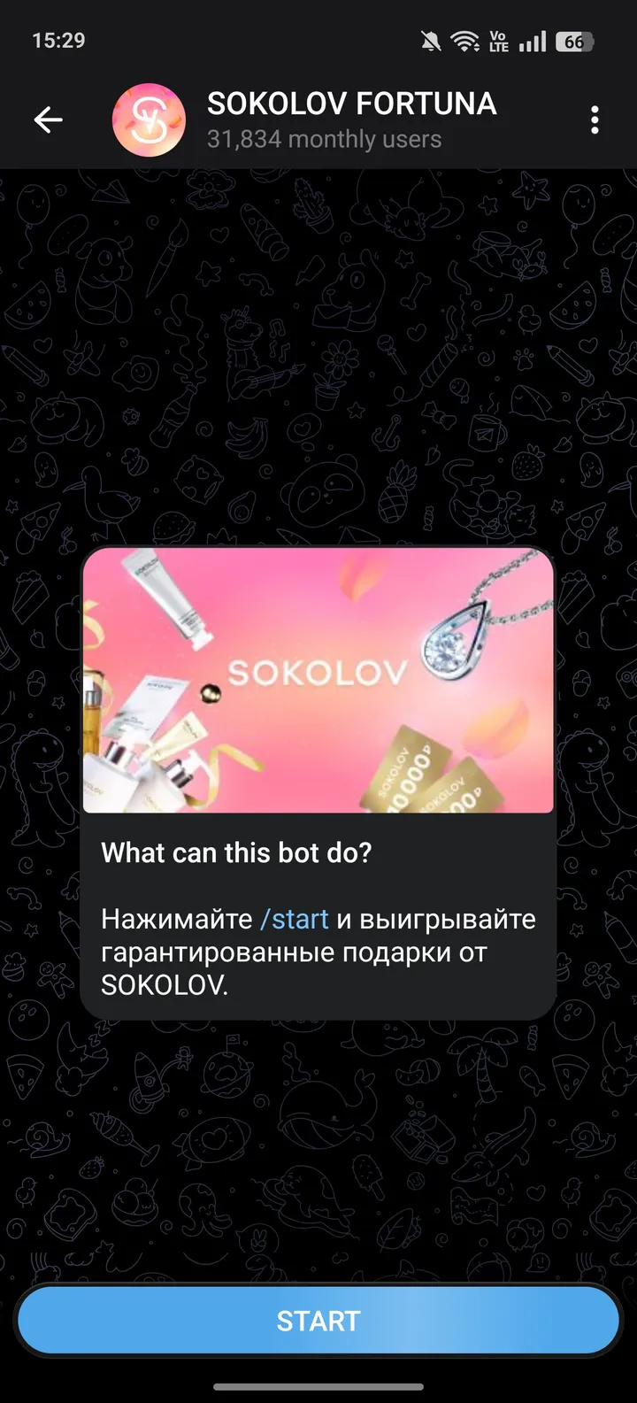 SOKOLOV BIRTHDAY — Screenshot 1