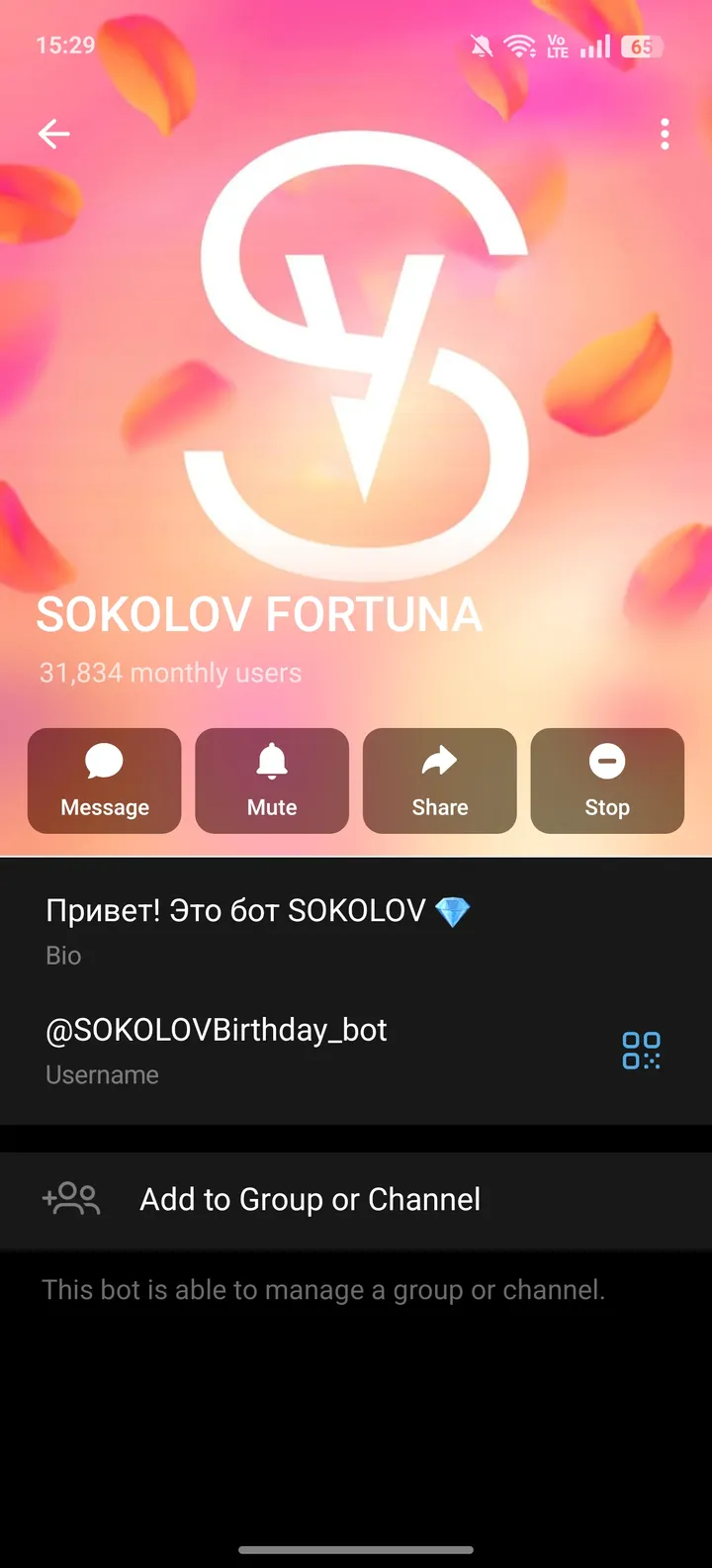SOKOLOV BIRTHDAY — Screenshot 4