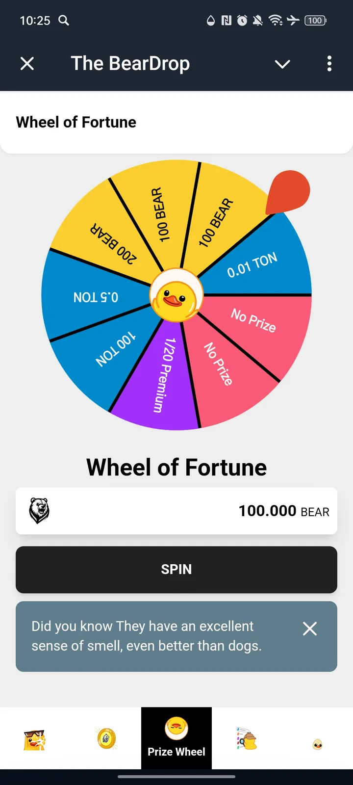 The BearDrop — Screenshot 3