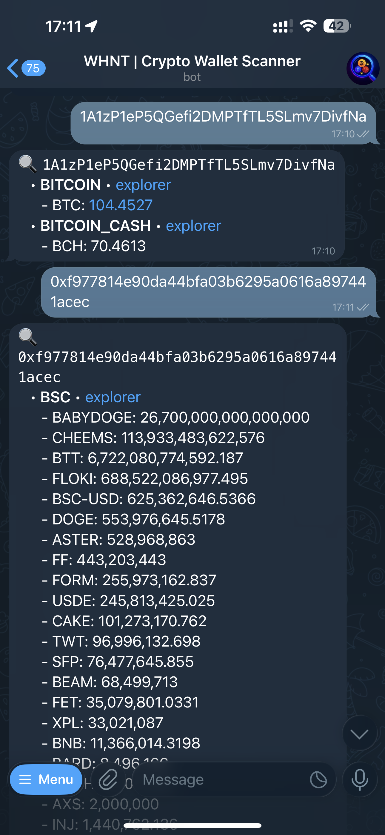 WHNT | Crypto Wallet Scanner — Screenshot 3