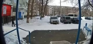 Два мальчика 8 и 9 лет попали в больницу после атаки агрессивной стаи собак в...