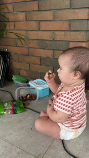 Вот он - Шкода! Собственной персоной - потихоньку пробуем пальму      И клубн...