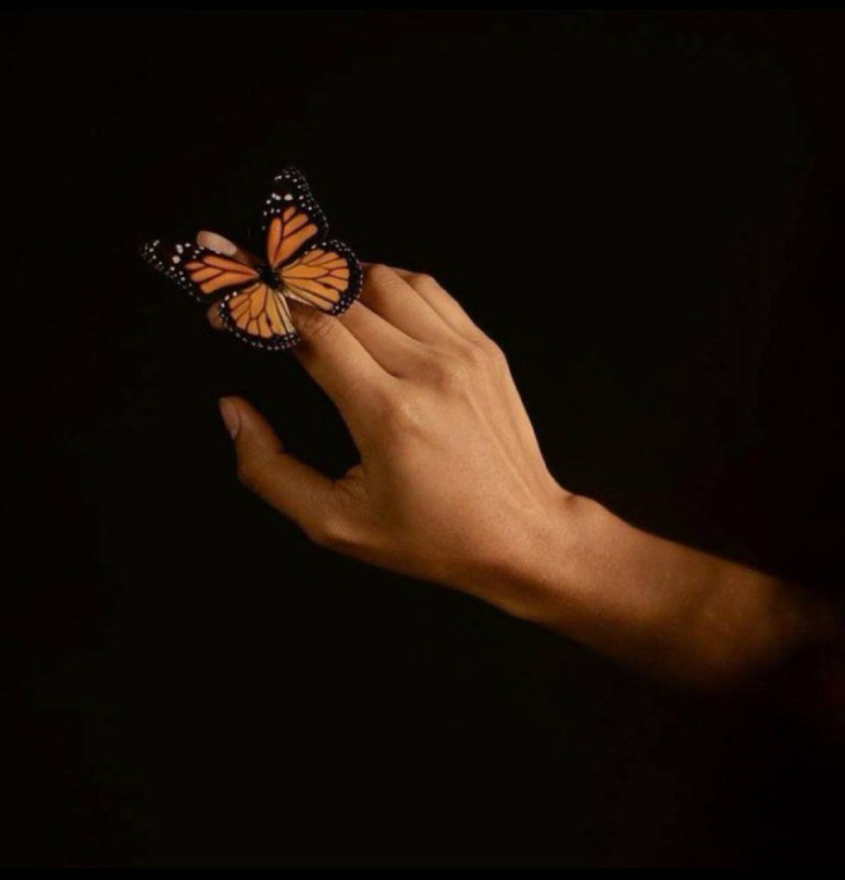 Здесь собираются оптимисты, авантюристы, писатели и читатели. Ведём интересны...