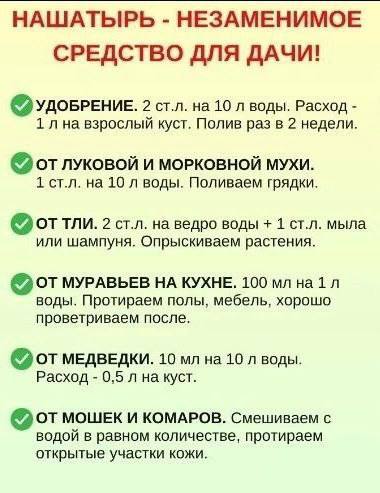 Берём на заметку!  Больше советов тут - Моя дача Не забудьте подписаться