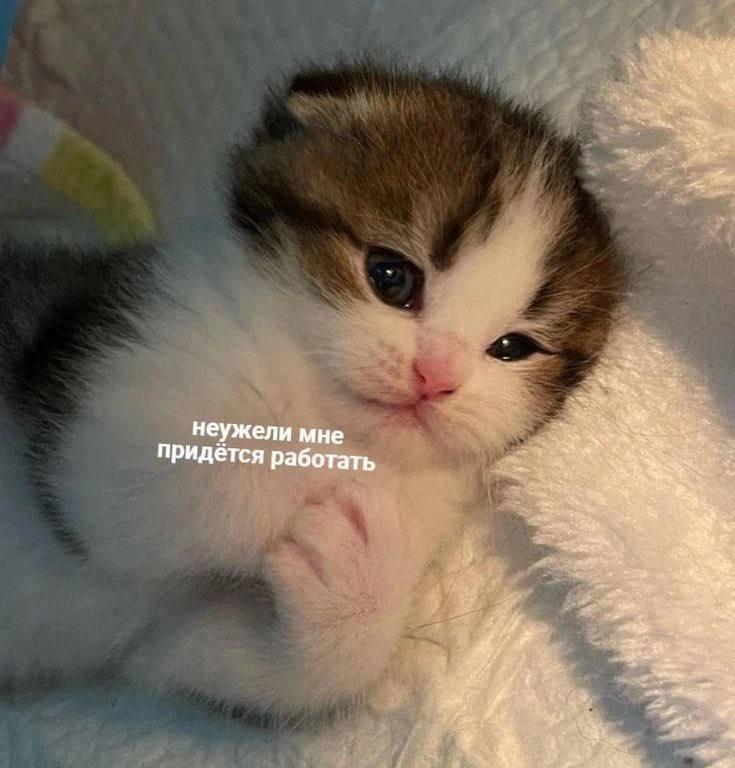 С Новым рабочим годом    На международном рынке неделя уже в самом разгаре – ...