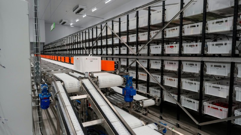 Зампреду правительства продемонстрировали на 70% роботизированный продовольст...