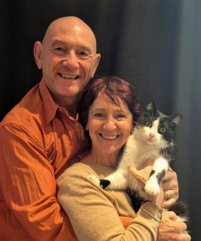 Кот Филу стал знаменитостью во Франции — он потерялся в Испании и сам нашёл д...