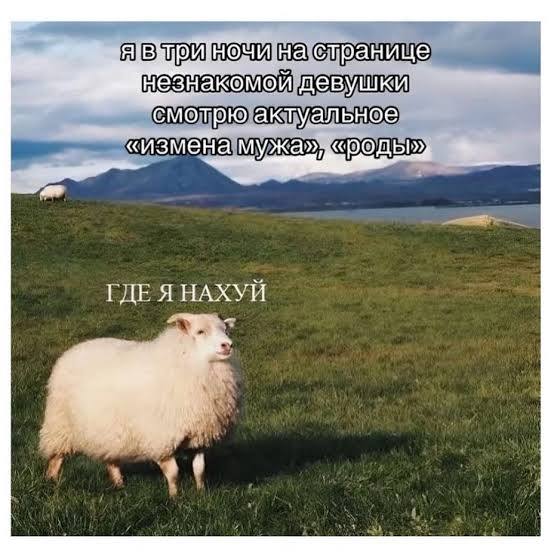 От имени всех профессиональных сплетников:   Люди, которые ведут очень насыще...