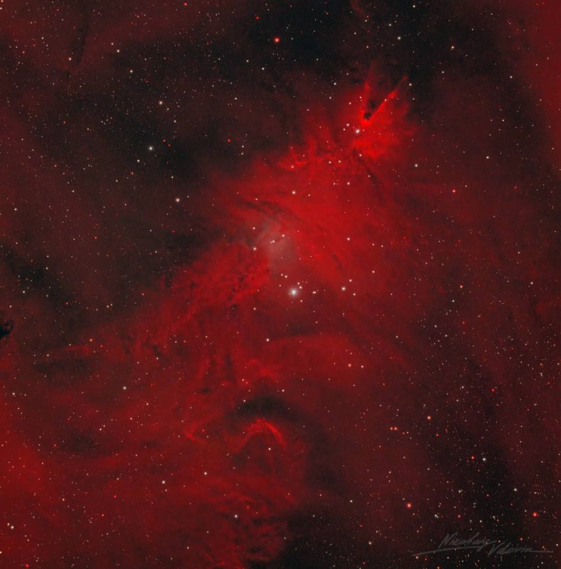 Туманность NGC 2264 в созвездии Единорога похожа на рождественскую ëлку, утве...