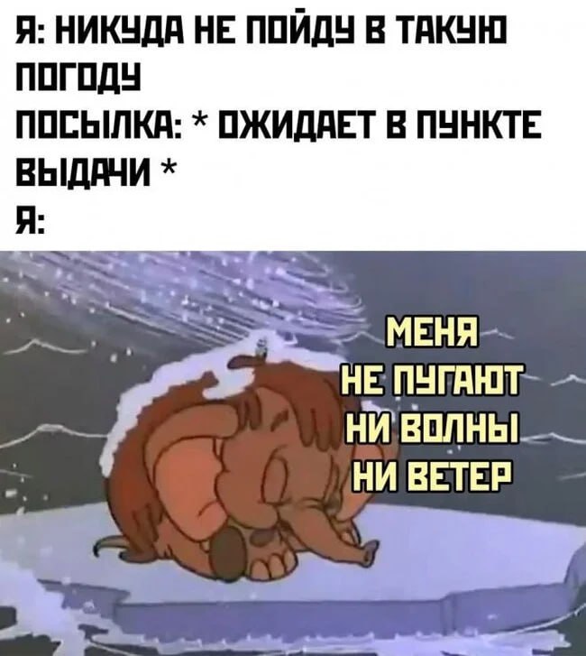 Wildberries подключила все пункты выдачи заказов в России к сервису WB Track....