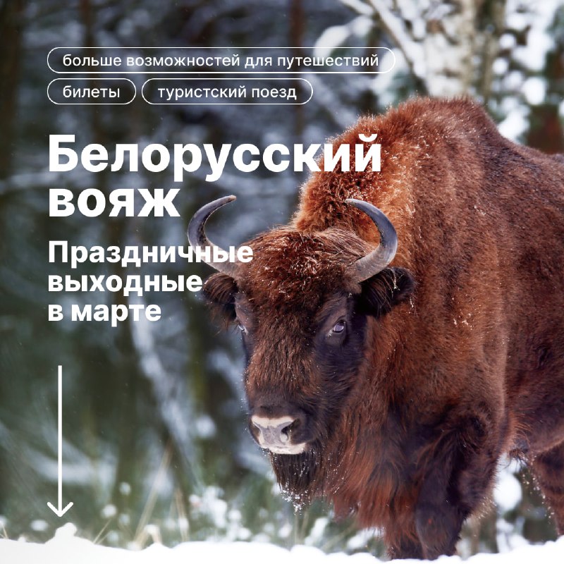 Белорусский вояж — отличный вариант провести праздничные выходные в марте.   ...