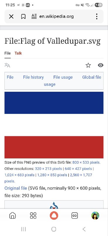 К предыдущему посту. Сегодня синебелокрасный- флаг Колумбии!!! Конскискадоры!...
