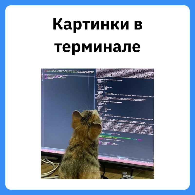 Изображения в TUI на Go  Разработчик делится опытом решения проблемы размытых...