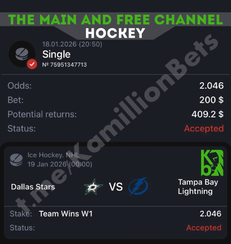 Hockey. USA. NHL Dallas Stars - Tampa Bay Lightning Dallas Stars will win inc...