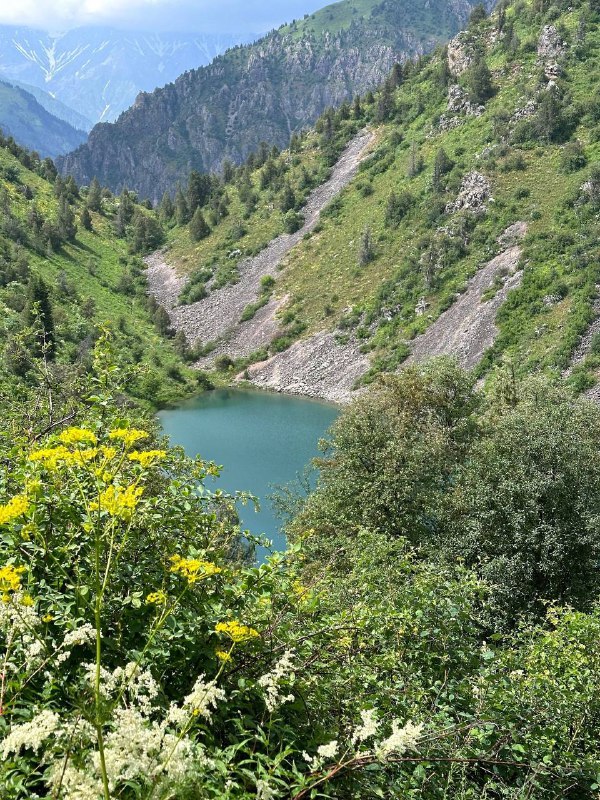 Что ждёт нас на этой неделе? Давайте посмотрим:    12 апреля – Невич Лёгкий в...