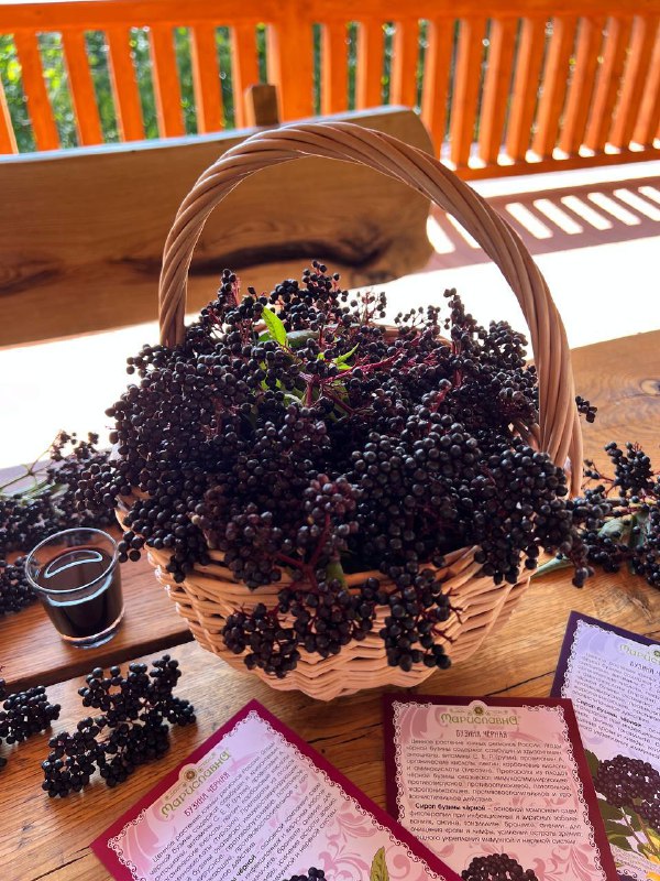 Сироп бузины чёрной. Идеальная поддержка в зимний сезон для взрослых и детей!...