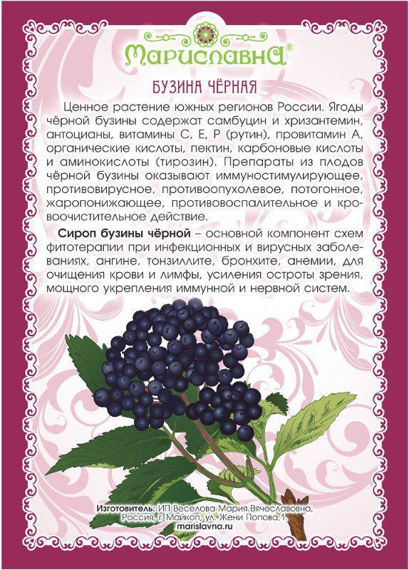Как принимать сироп чёрной бузины:  Сироп следует принимать в чистом виде или...