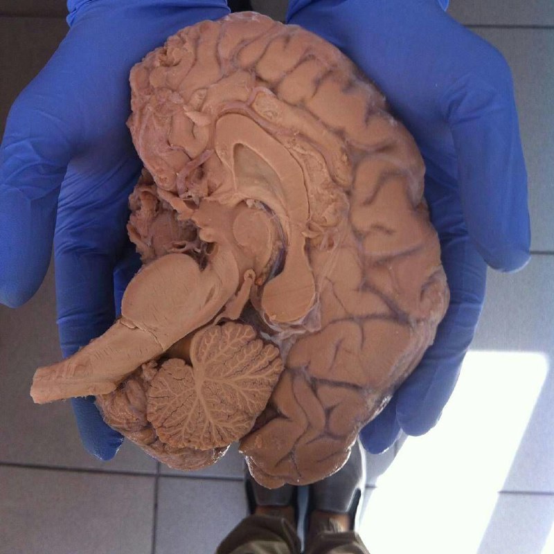 Идеальный срез