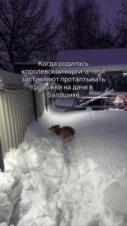 Для кого-то снежная зима- это забава) а тут работать приходится снегоуборщико...