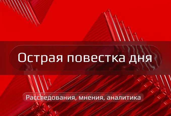 Red binder    Тигр пошел в школу в Приморье Правда, дело было ночью и детей х...