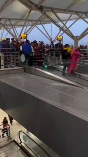 Ирландия. Полный крах эксперимента по ускорению эволюции.