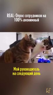 Пусть день порадует хорошими новостями, тёплыми встречами и лёгкими решениями...