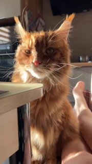 Доброго утра, приятного и продуктивного дня!          на 27 января:    переме...