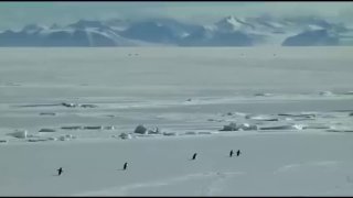 13 постов для успешного старта  Осталось всего 5 дней до запуска нового Скрай...