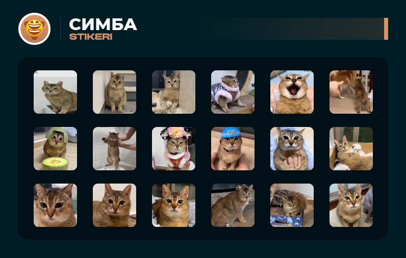Симба ➜ Добавить стикеры    Дать Boost   Создать эмодзи / стикеры   Розыгрыш ...