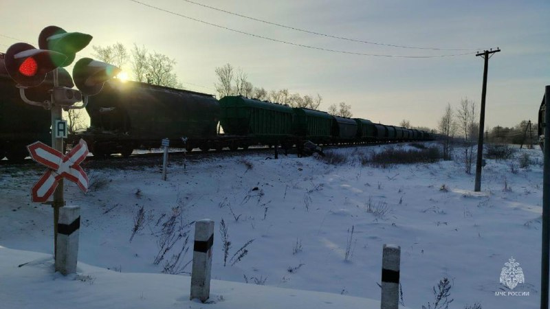 От машины остался один остов: 4 человека погибли при столкновении легковушки ...