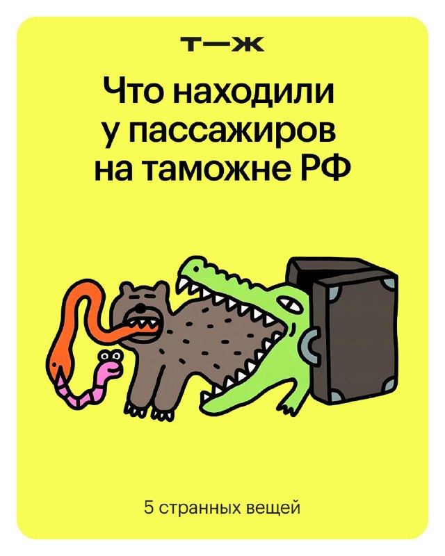 Очень странные дела творятся на таможне    Рассказали, что еще необычного наш...