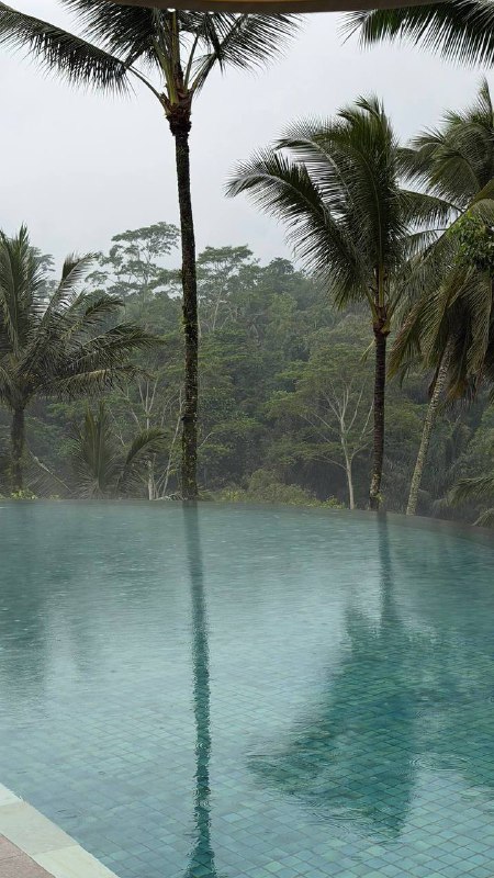 Это в живую невероятно