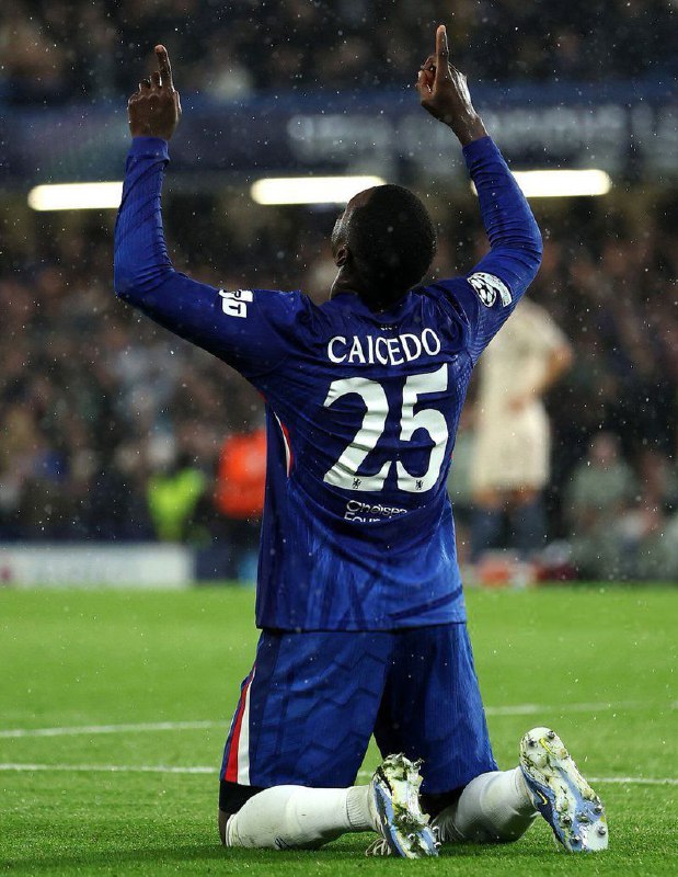 Moisés Caicedo returns tomorrow…