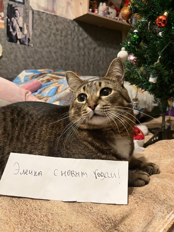 смотрите кто меня поздравляет)    обожаю Вазю