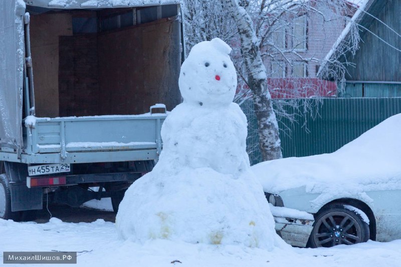 Печальная участь снеговика в Архангельске-быть обоссаным собаками :(