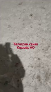 ДТП у Соломбалы Молл