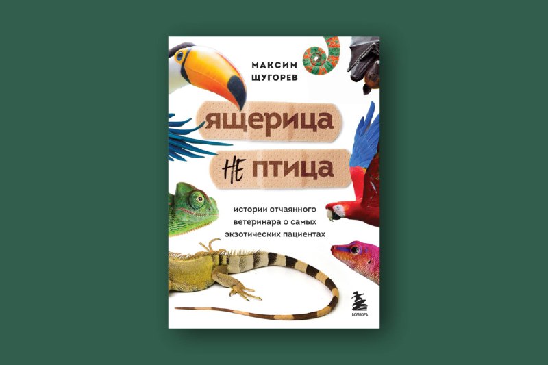 Лично знаю семью, которой подарили сладенького розового минипига, который выр...