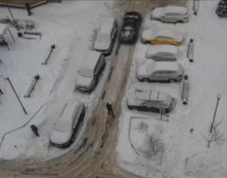 Во дворе на 6-й Радиальной в Москве конфликт водителя и пешехода закончился в...